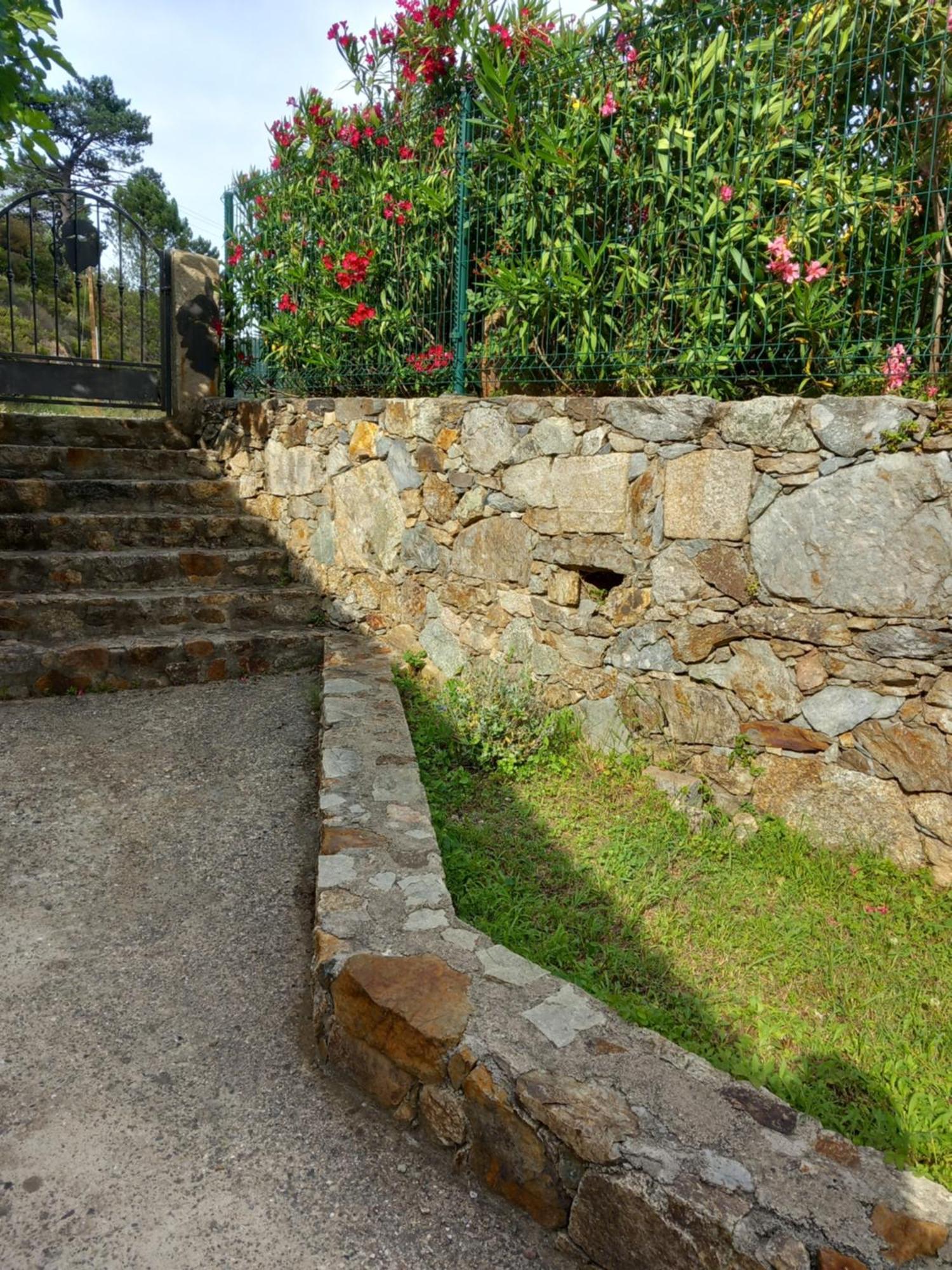 A Guinguetta Bed & Breakfast Venaco  Exterior photo